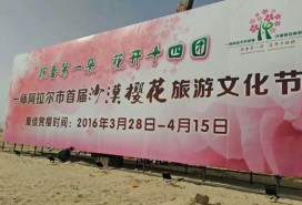 阿拉爾十四團雙面高立柱6*18米兩個7天施工現(xiàn)場